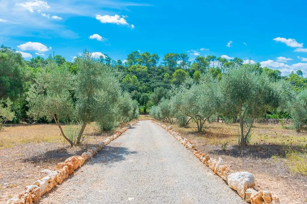 Villa Can Pina - Eco Cascada - (Adults Only) Costitx  Spain