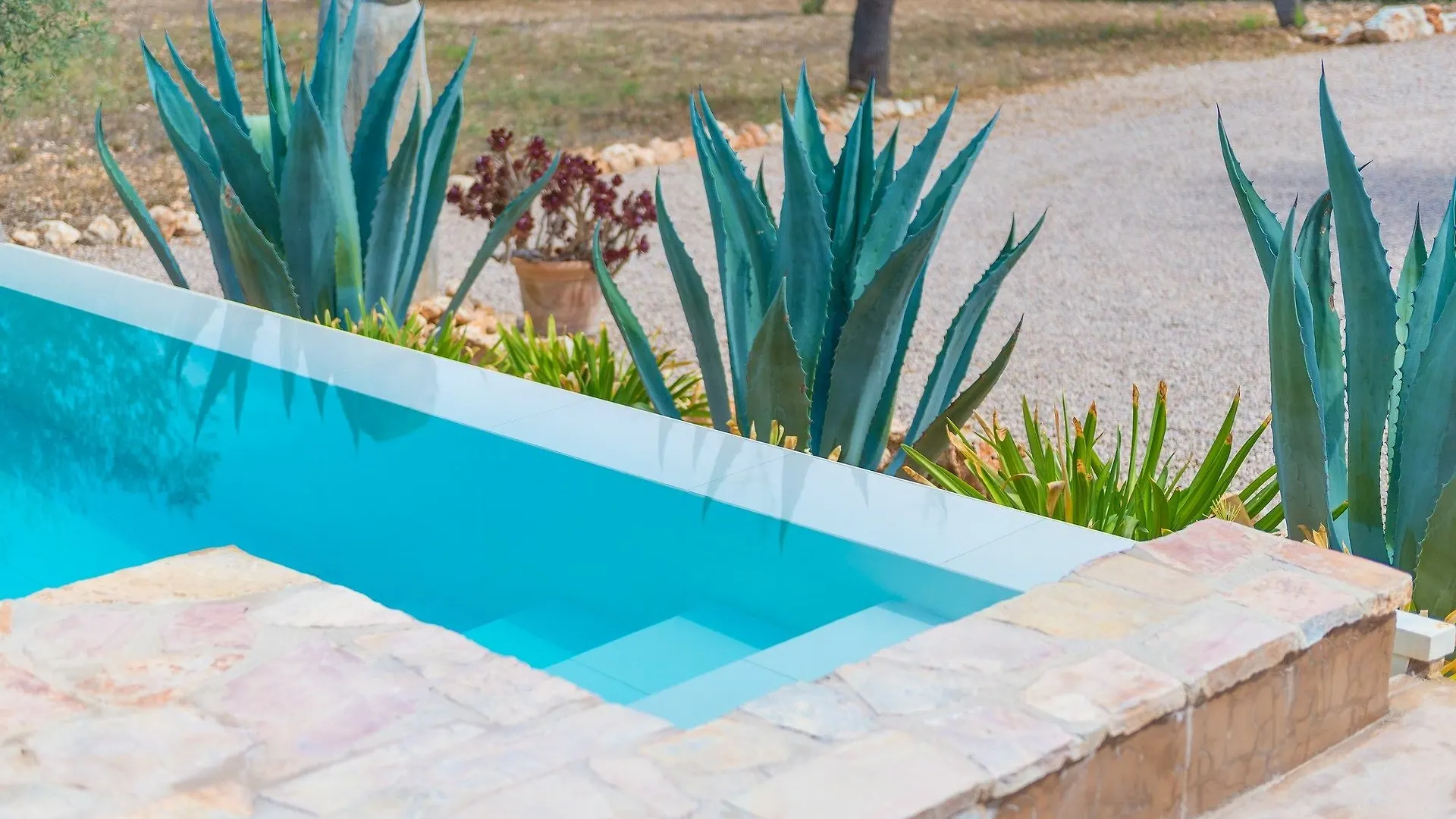 Can Pina - Eco Cascada - (Adults Only) Costitx  Spain
