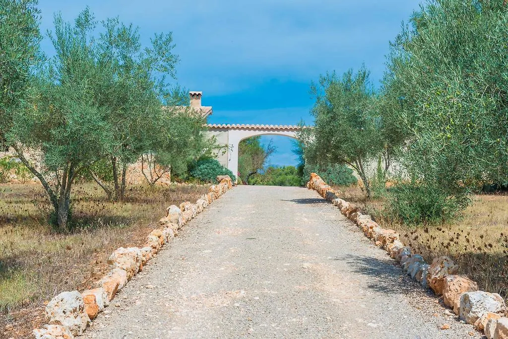 Can Pina - Eco Cascada - (Adults Only) Costitx  Spain