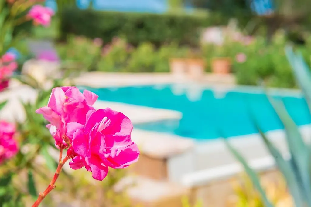 Can Pina - Eco Cascada - (Adults Only) Costitx  Costitx (Mallorca)