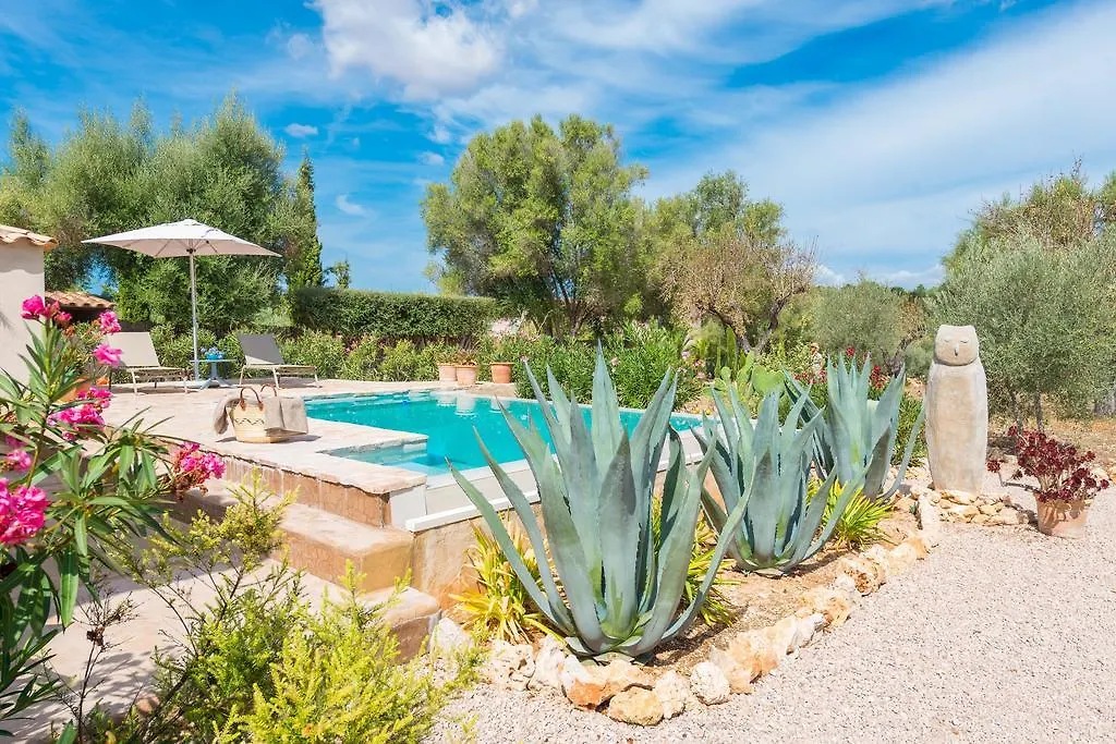 Can Pina - Eco Cascada - (Adults Only) Costitx  Villa Costitx (Mallorca)
